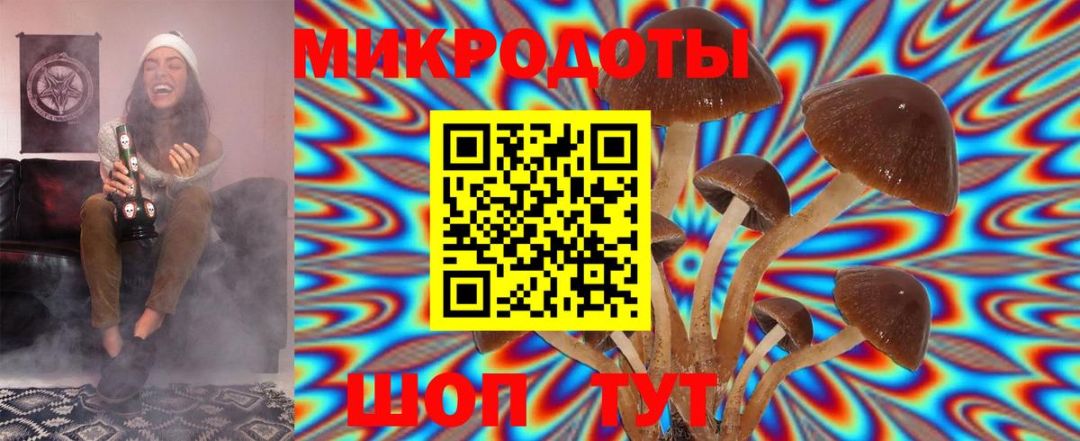 Псилоцибиновые грибы Psilocybine cubensis  Вход с VPN  Курчатов 