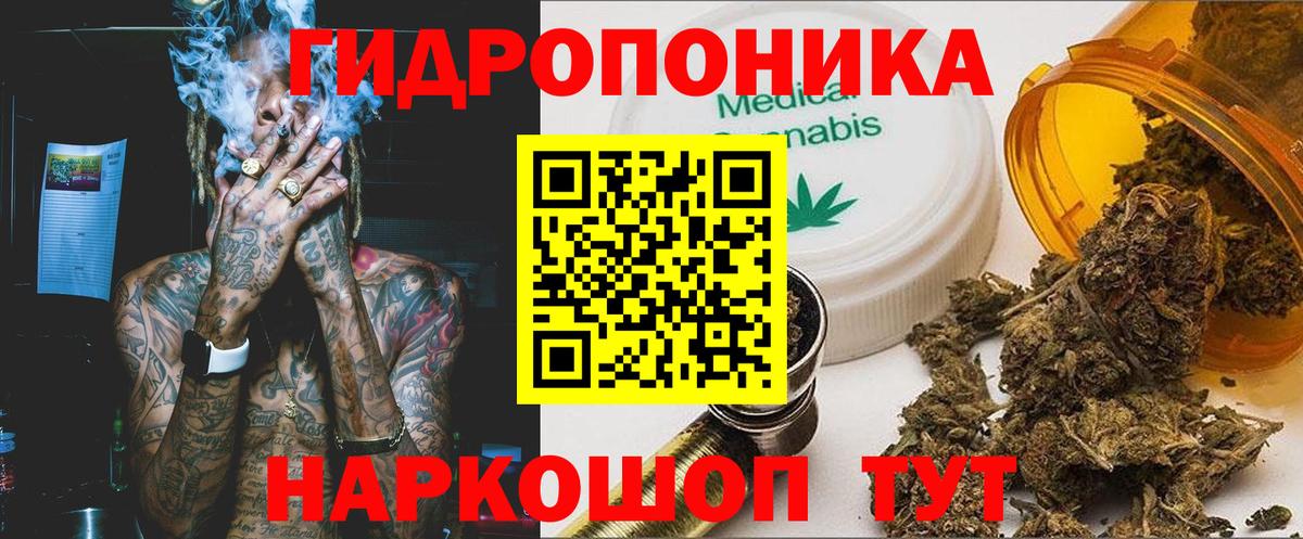 Шишки марихуана LSD WEED  Канабис индика  Канабис ГИДРОПОН  Курчатов  Вход с VPN  Конопля тримм 